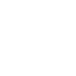 download_icon